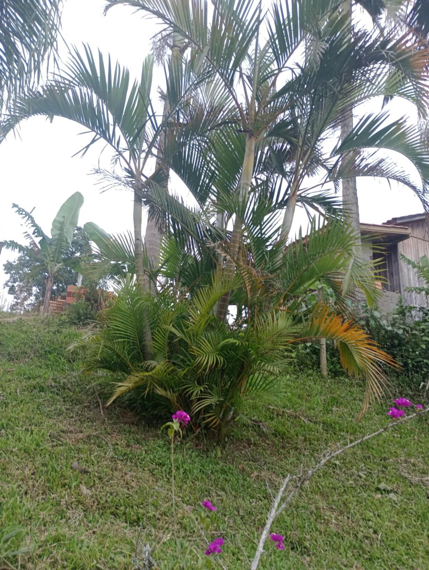 Villa Familia Cataneo à Lauro Muller Extérieur photo